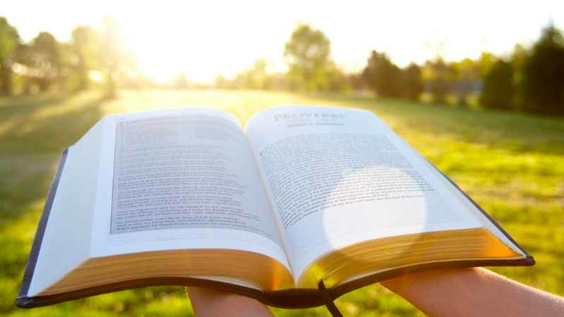 ¿Dónde está tu Tesoro?