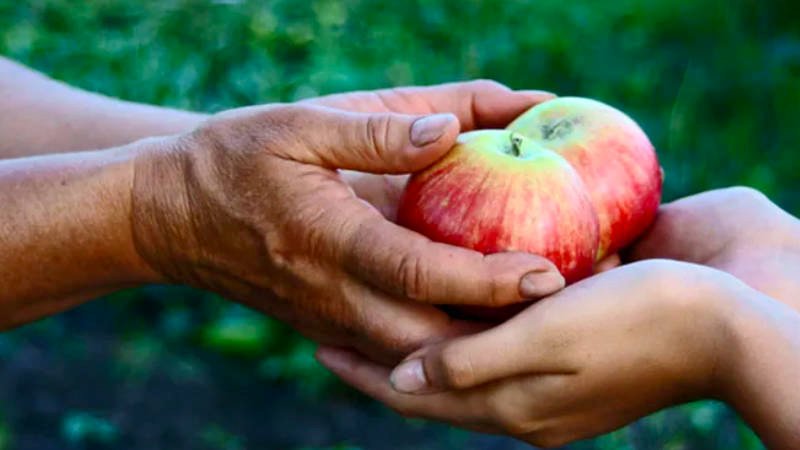 El Alma Generosa Será Prosperada